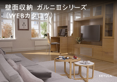 catalog-wall-cabinet-2