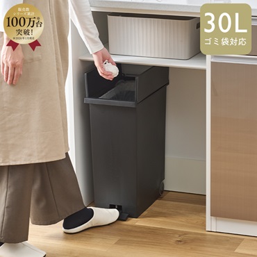 KEYUCA両開きダストボックス L（27L） ブラック ゴミ箱