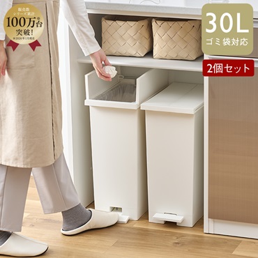 【WEB限定価格・送料無料】KEYUCA両開きダストボックス L（27L）ホワイト 2個セット ゴミ箱