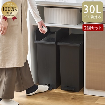【WEB限定価格・送料無料】KEYUCA両開きダストボックス L（27L）ブラック 2個セット ゴミ箱