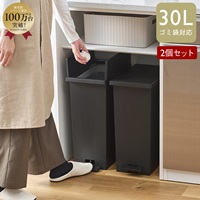 【WEB限定価格・送料無料】KEYUCA両開きダストボックス L（27L）ブラック 2個セット ゴミ箱