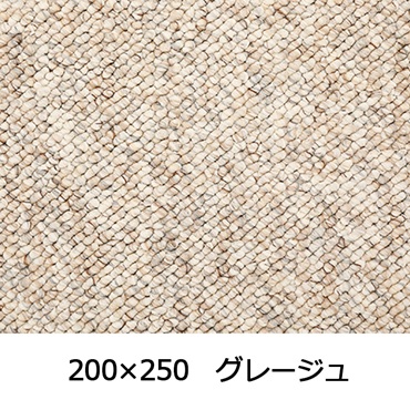 【WEB限定】大粒パイルでふっくら丈夫 パブロフ(200×250 グレージュ)