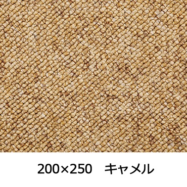 【WEB限定】大粒パイルでふっくら丈夫 パブロフ(200×250 キャメル)