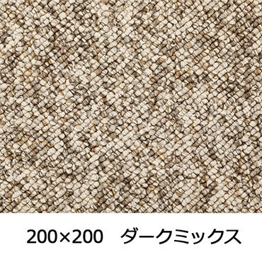 【WEB限定】大粒パイルでふっくら丈夫 パブロフ(200×200 ダークミックス)