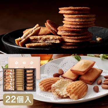 グランドセレクション22個入