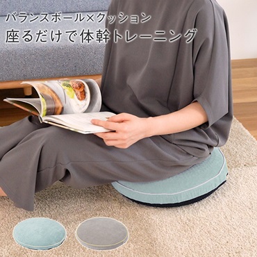 バランスシートクッション