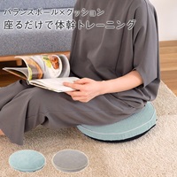 バランスシートクッション